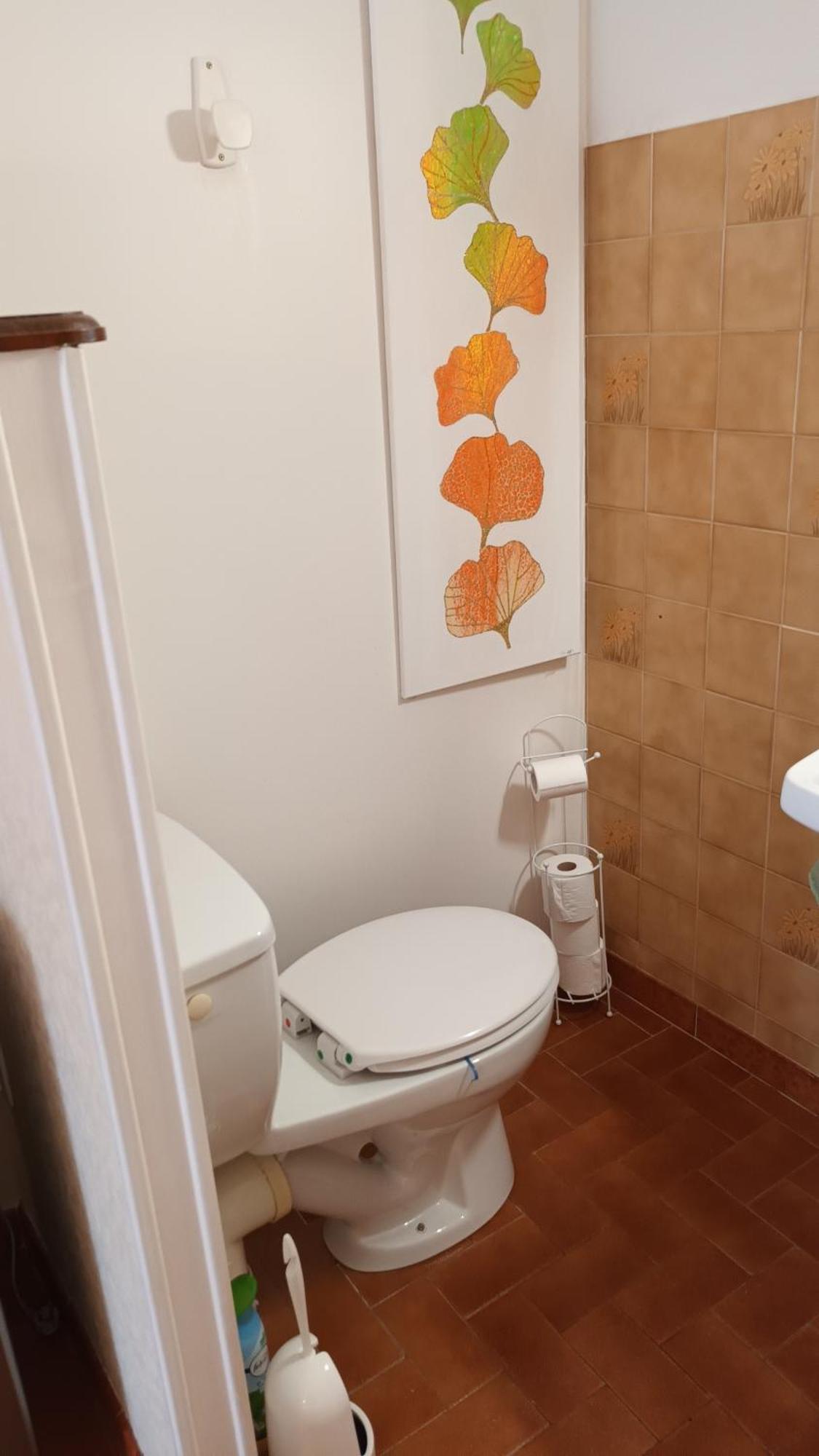 Appartement Gentil Coquelicot à Mirepoix  Extérieur photo